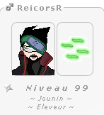 perso