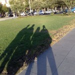 Stras6 Stras6